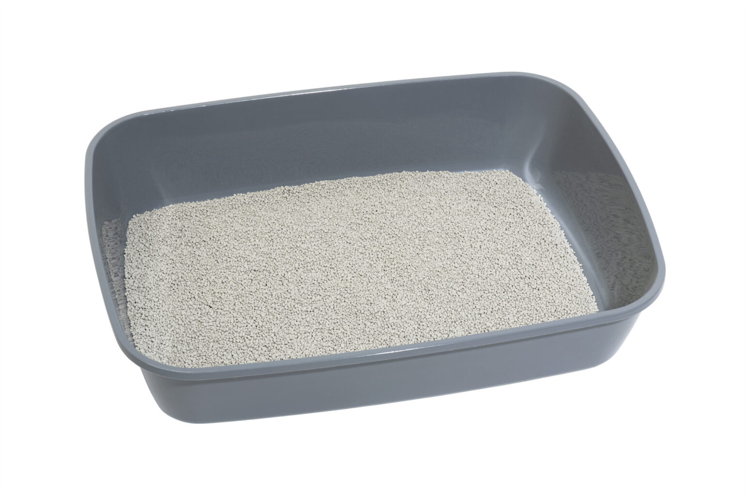 KittyClean bentonite cat litter 5L KittyClean cat litters I 🐈 Cats